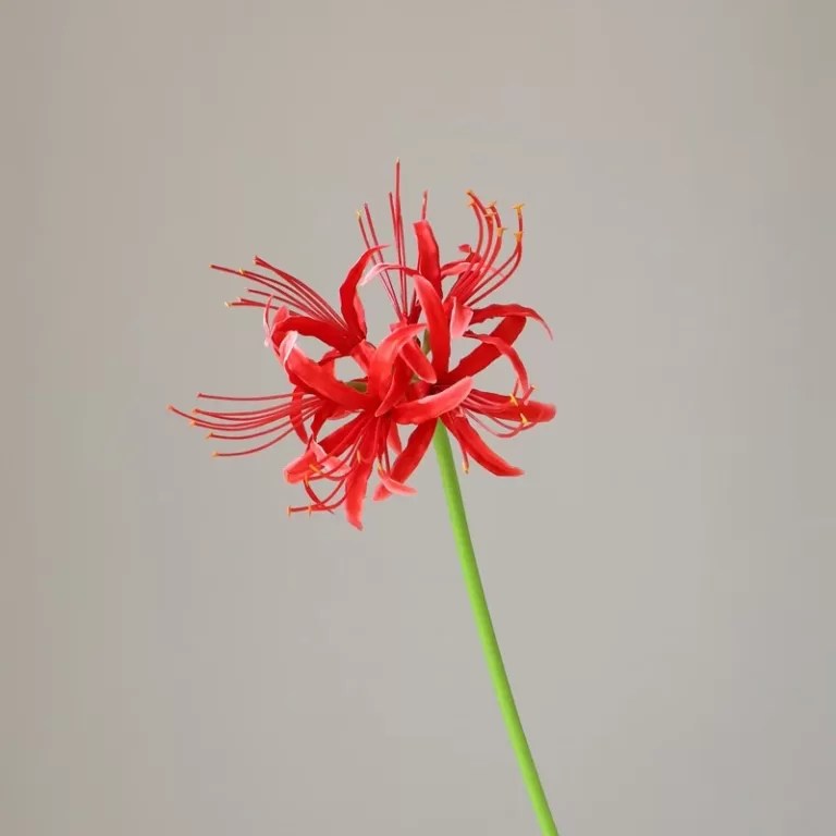 artificial spider lily silk flowers wholesle