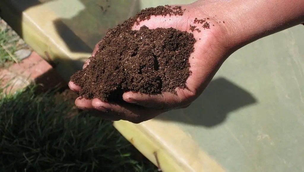 Is Composting Worth It? Benefits & Other Considerations