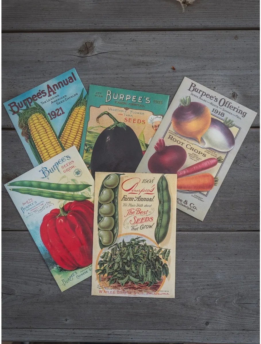The 23 Best Seed Companies For Home Gardening