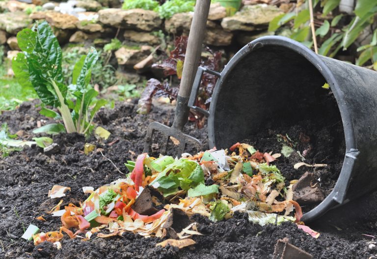 Preparing Soil for a Vegetable Garden Planting Your Future