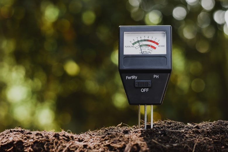 Preparing Soil for a Vegetable Garden Planting Your Future