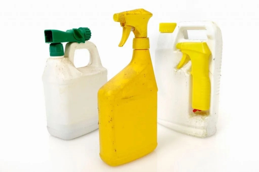 17 Simple Tricks How To Stop Ants Nesting In Plant Pots