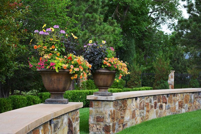 Add Decorative Elements