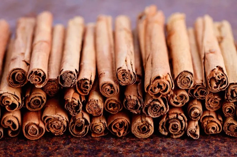 Cinnamon from Sri Lanka