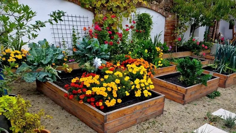 Control Humidity Levels