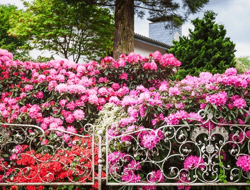 Designing with Color