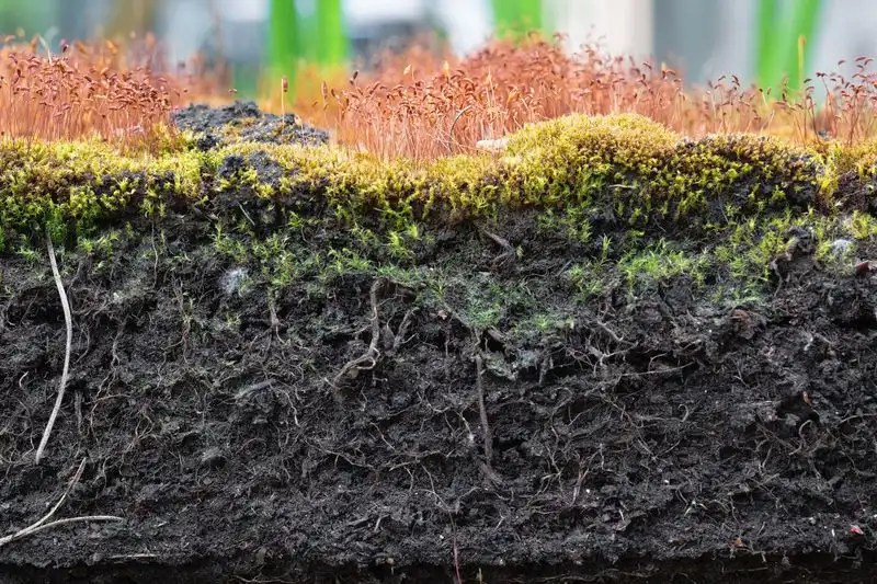 Enhanced Soil Structure