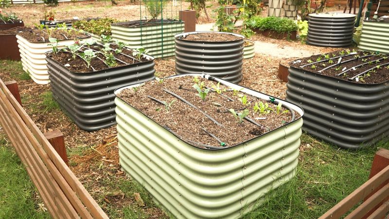 Implement Raised Beds