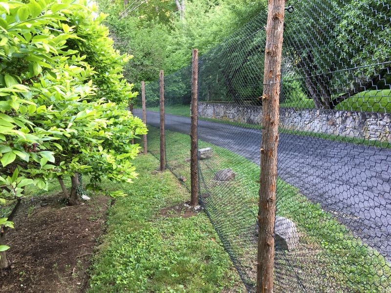 Install Fencing