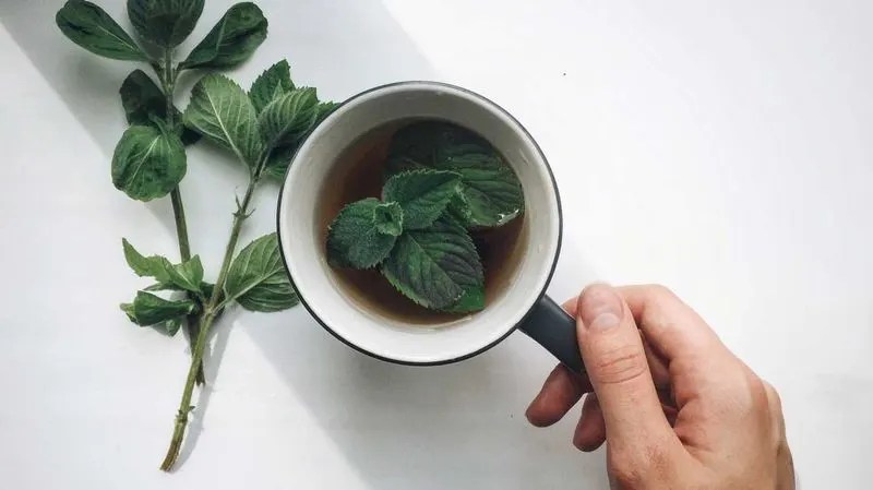 Mint
