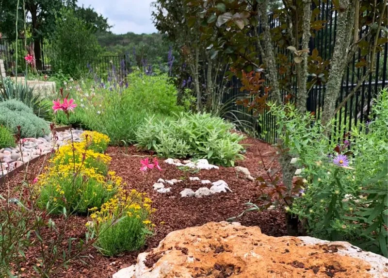 Native Plant Selection