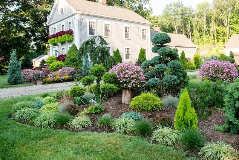 Overdone Topiary