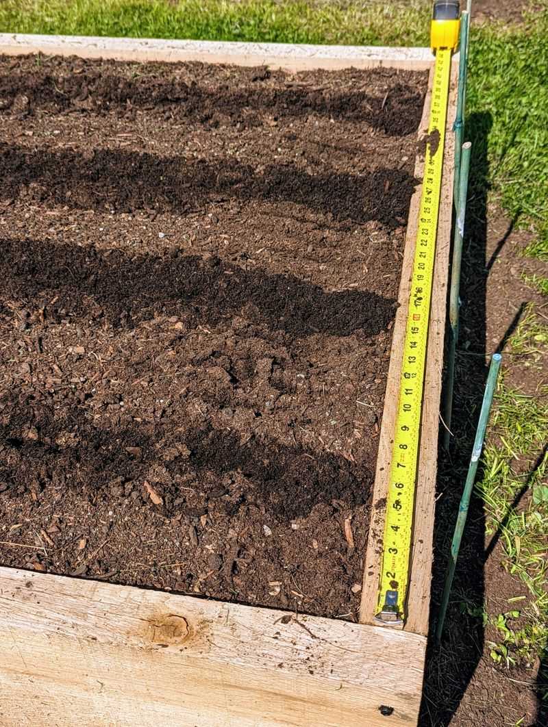 Practice Proper Spacing