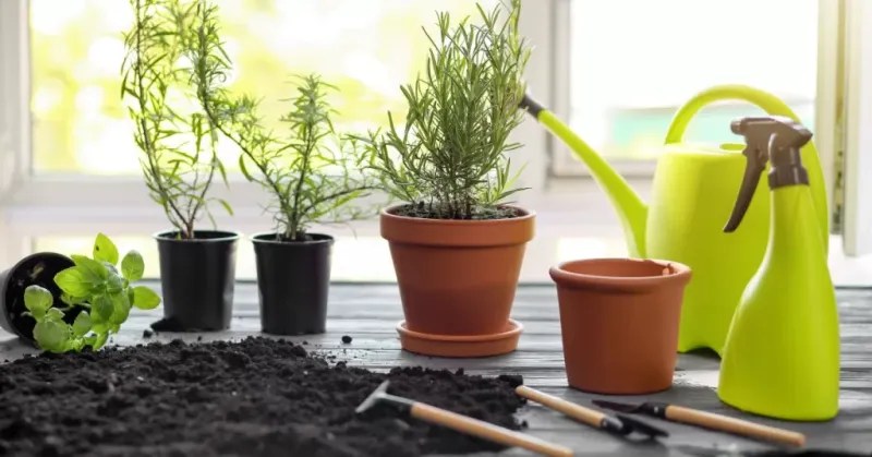Quality Potting Soil