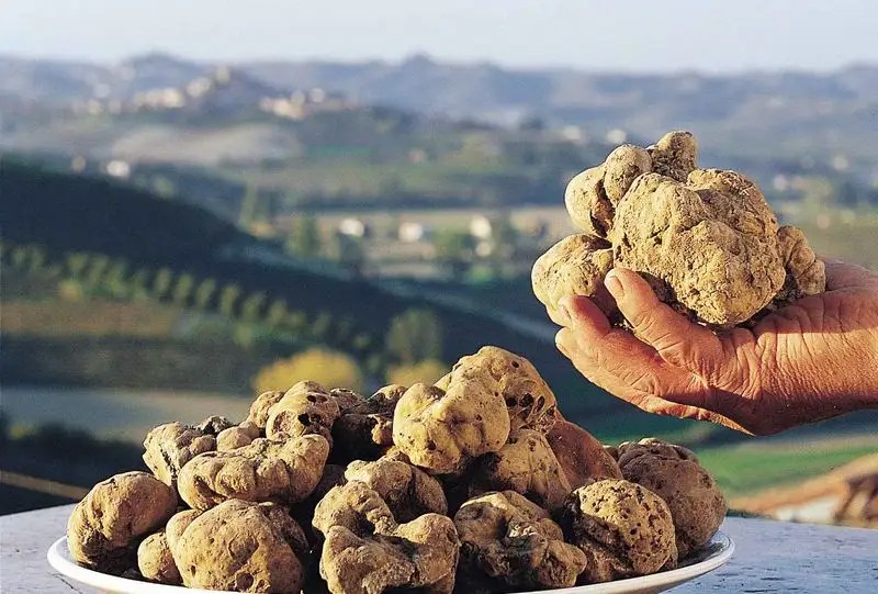 Truffles from Italy