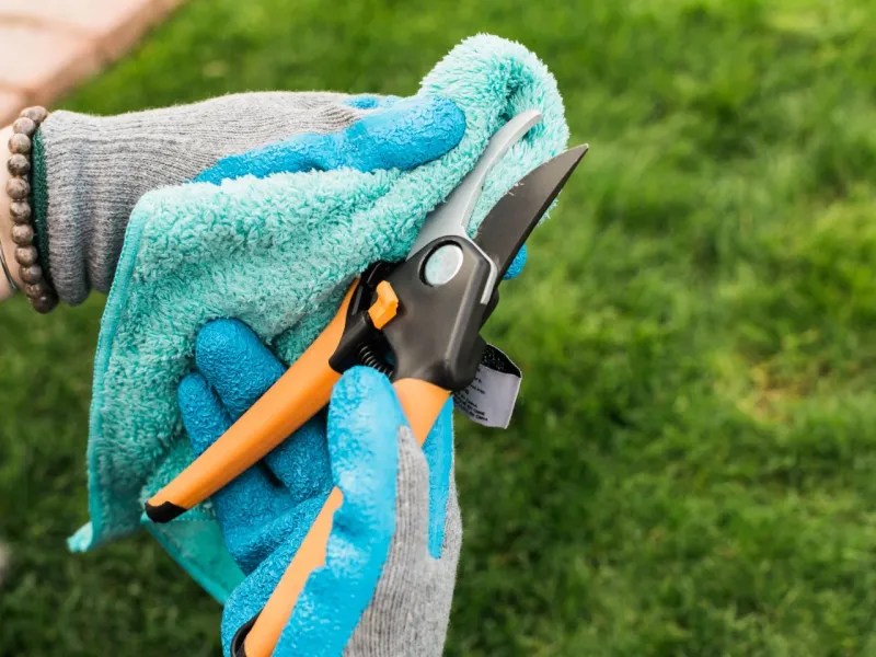 Use Clean Tools and Equipment