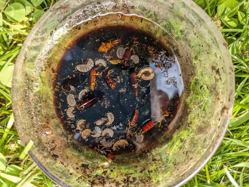 Utilize a Soy Sauce Trap