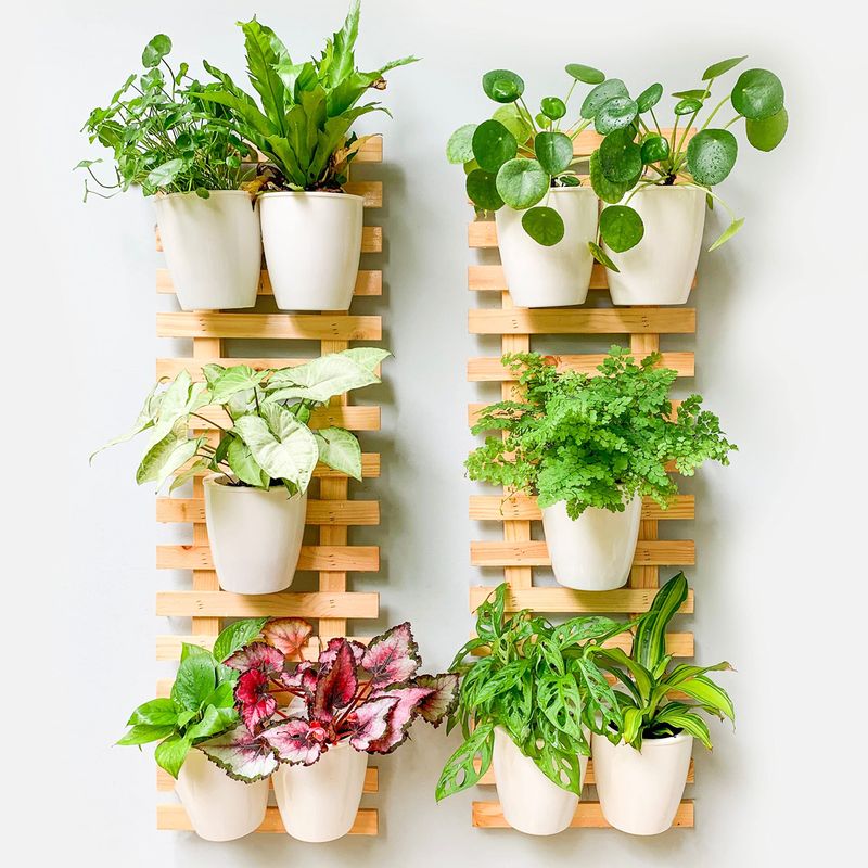 Wall-Mounted Pot Racks