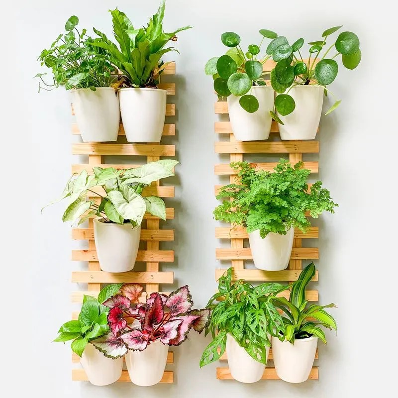 Wall-Mounted Pot Racks