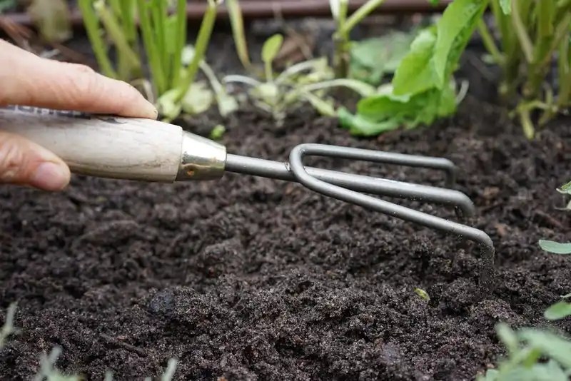 Use of Organic Compost