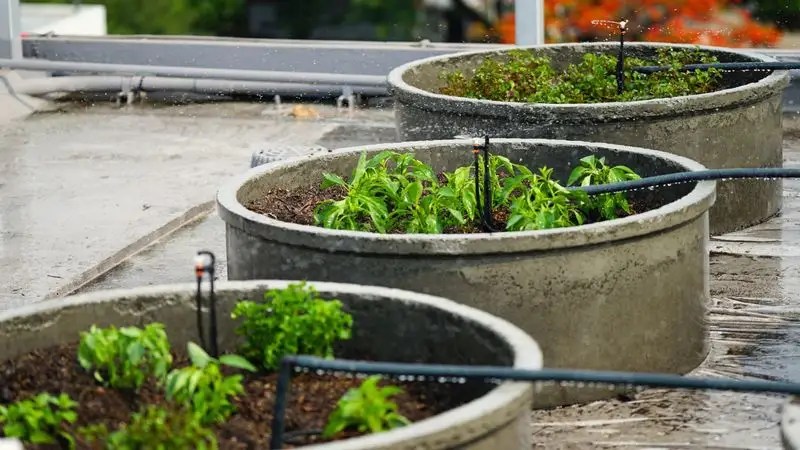 Implementing a Watering System