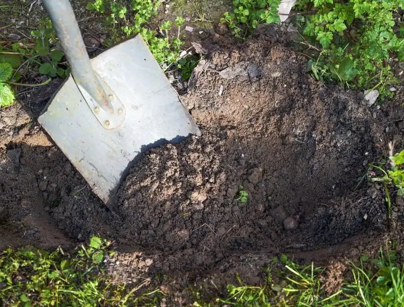 Inconsistent Soil Color