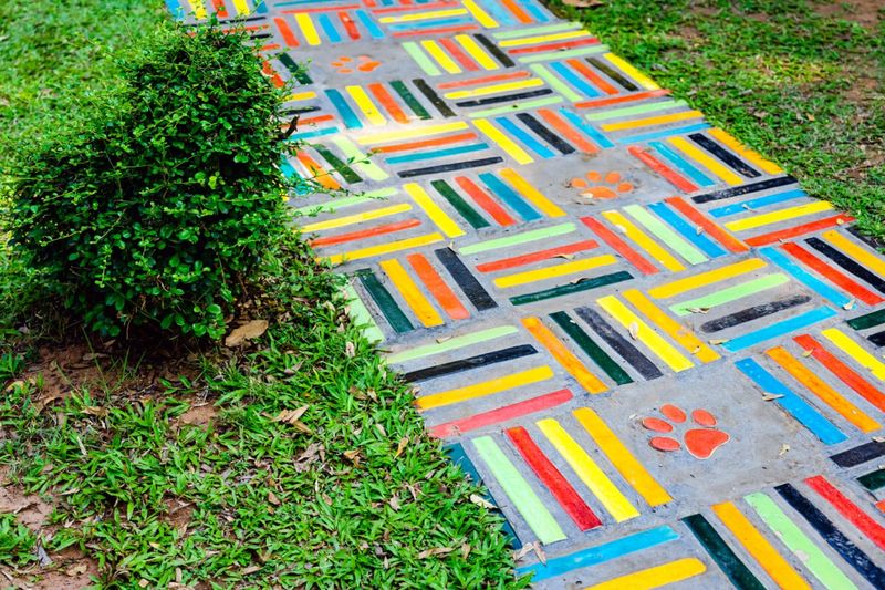 Random Mosaic Pathway