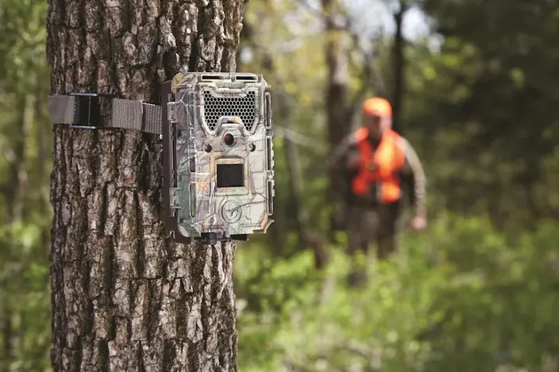 Set Up Trail Cameras