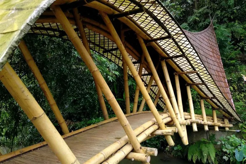 Eco-Friendly Bamboo Bridge