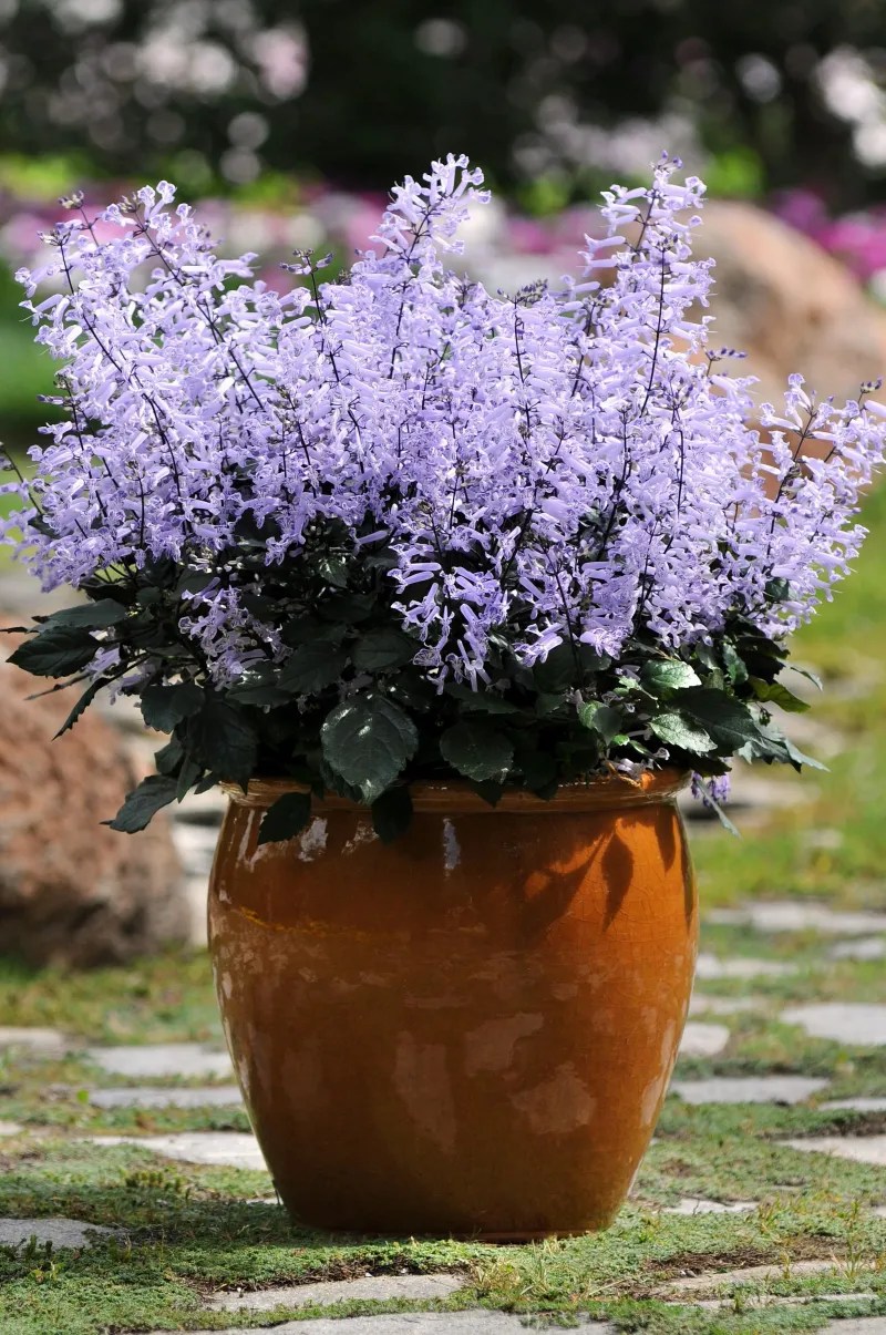 Choosing the Right Spot