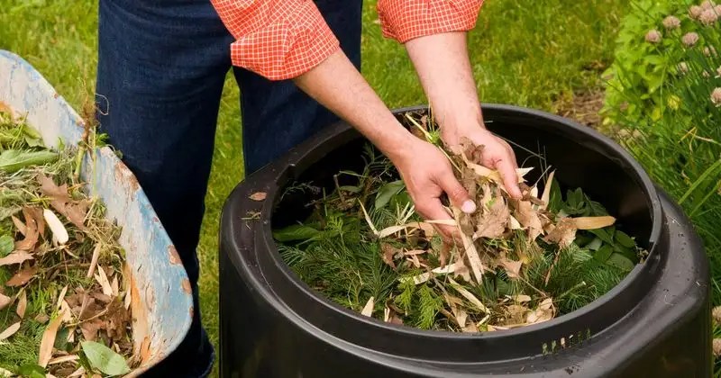 Composting Techniques