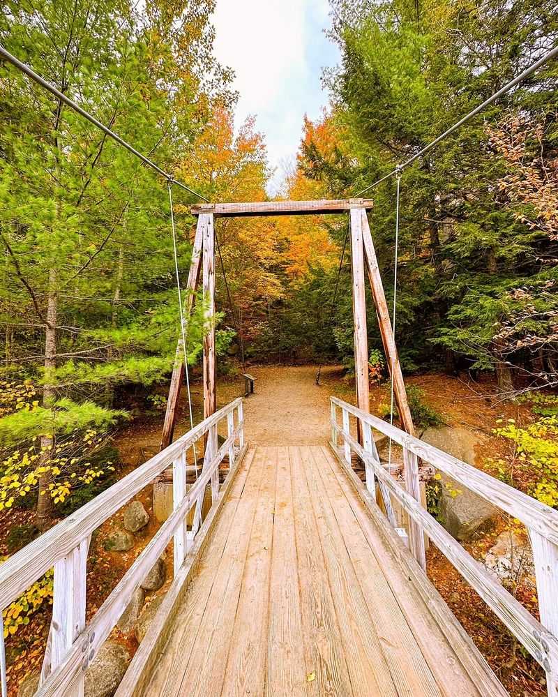 Charming Garden Footbridge