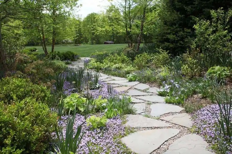 Create a Meandering Path