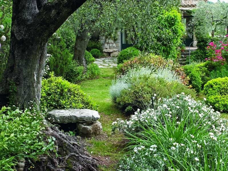 Design Natural Windbreaks