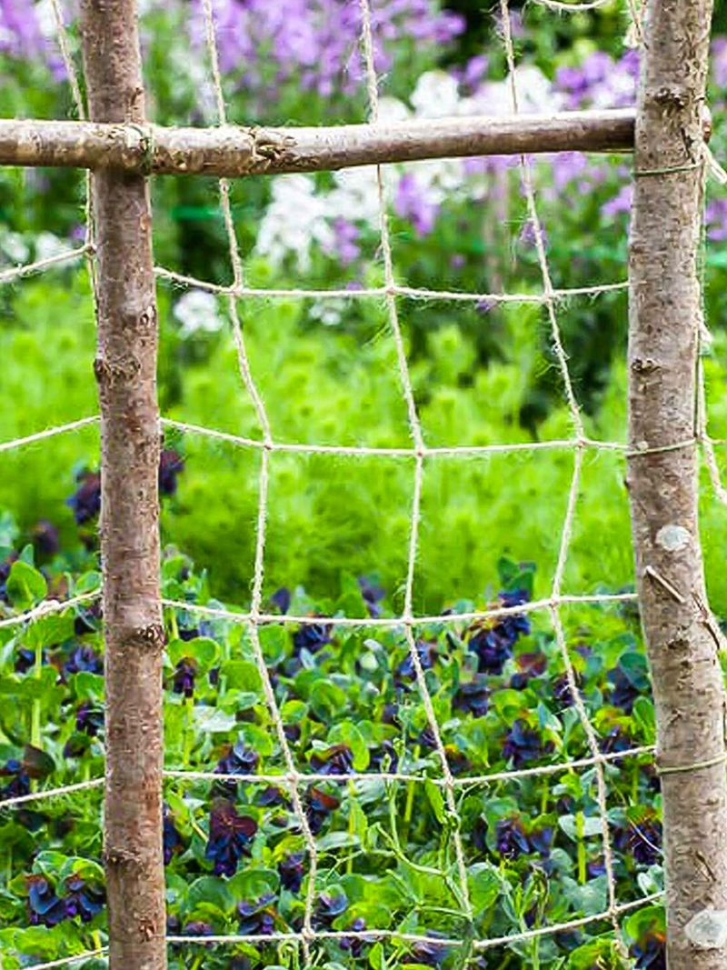 Heavy-Duty Plant Twine