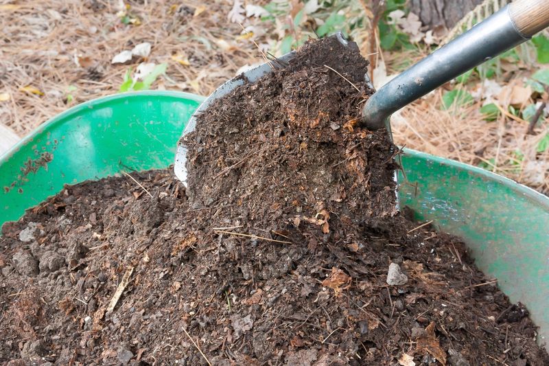 Neglecting Mulching Needs