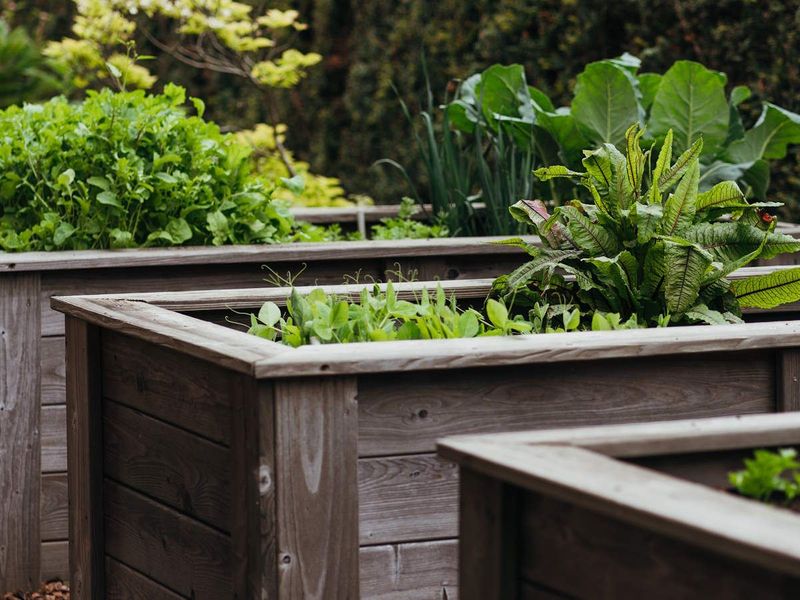 Inappropriate Fertilizer Use