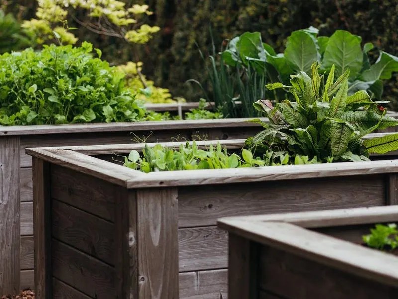 Inappropriate Fertilizer Use