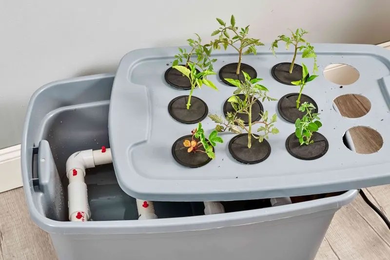 Indoor Hydroponic System