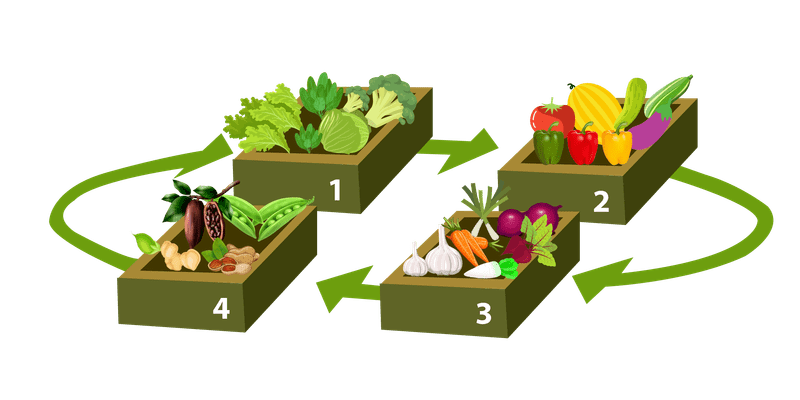 Seasonal Crop Rotation