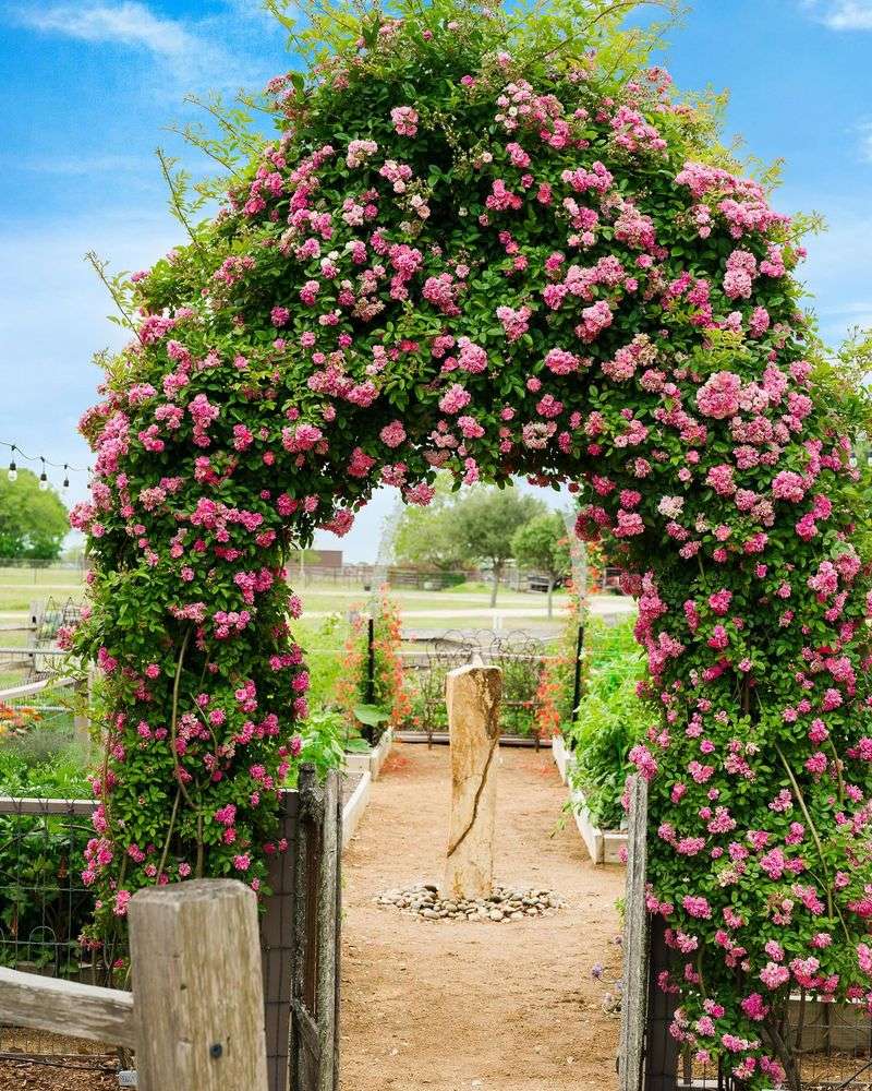 Garden Archway