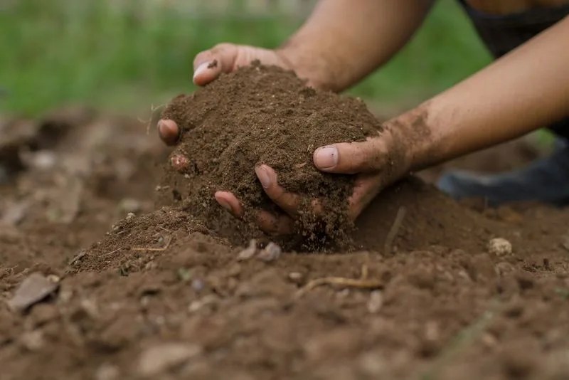 Understanding Soil Types