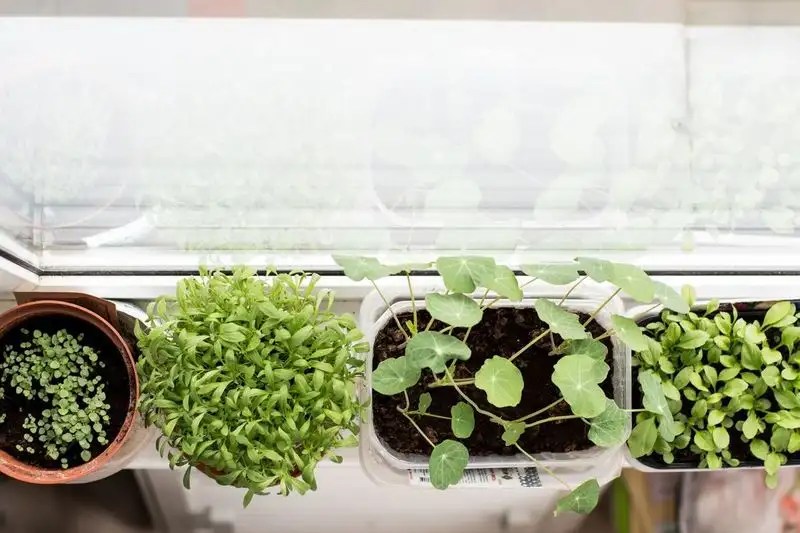 Choosing the Perfect Containers