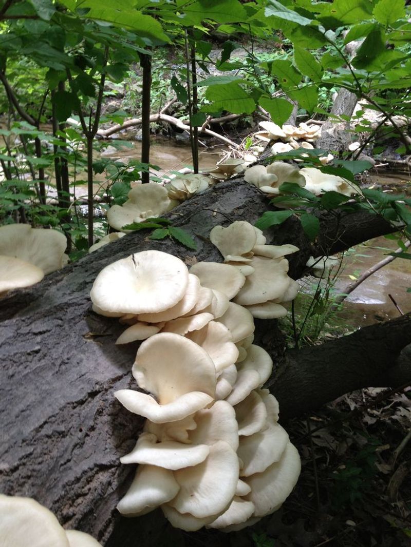 Create the Right Environment