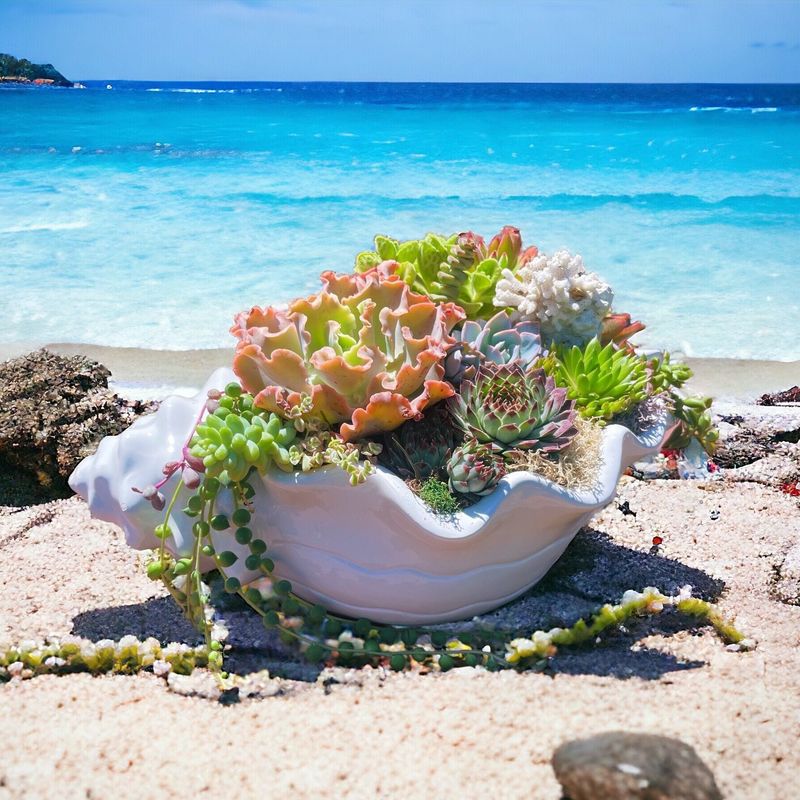 Seaside Shell Planters
