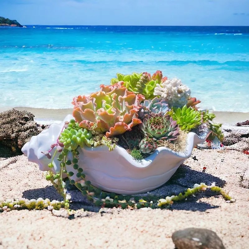 Seaside Shell Planters