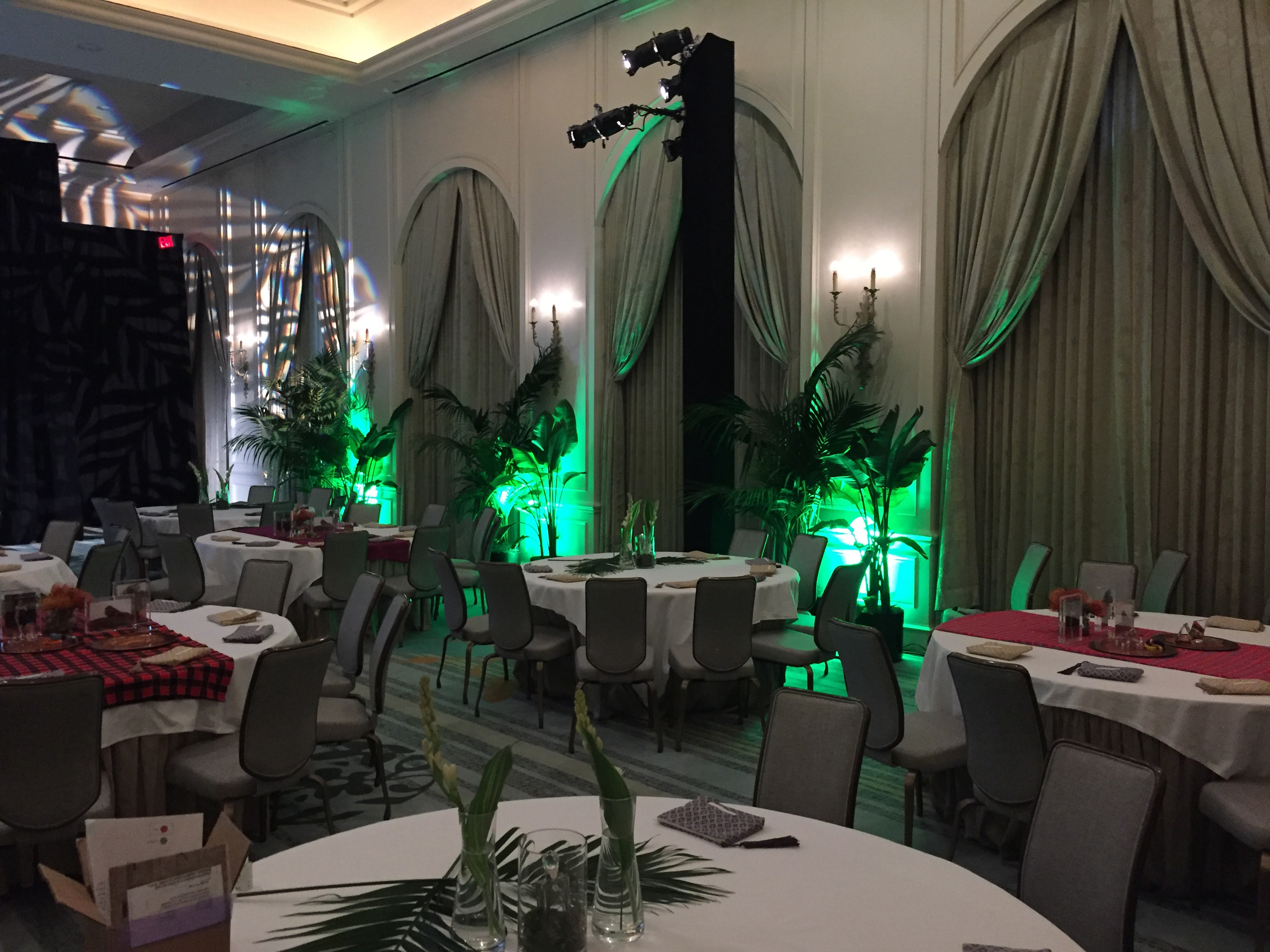 Tropical Plant Rentals Plant Rentals Live Tropical Plants