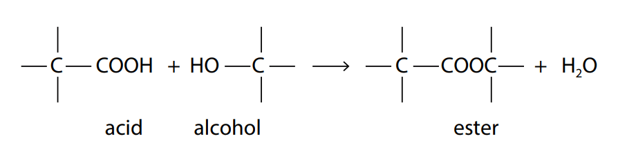 Lipids and Fatty Acids An Inescapable Organic Compounds Plantlet