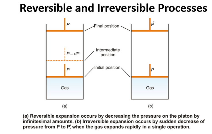 Thermodynamics A Relationships Between Heat and Other Forms of Energy