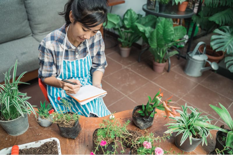 How To Sell Plants Online Plantly